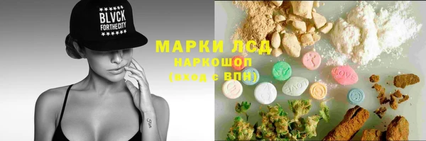гидра Надым