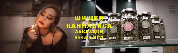 гидра Надым