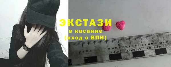 гидра Надым