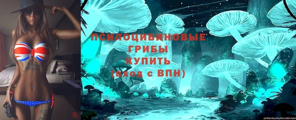 MDMA Михайловск