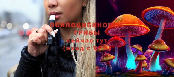 стафф Михайловка