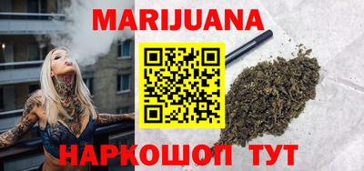 индика Бийск