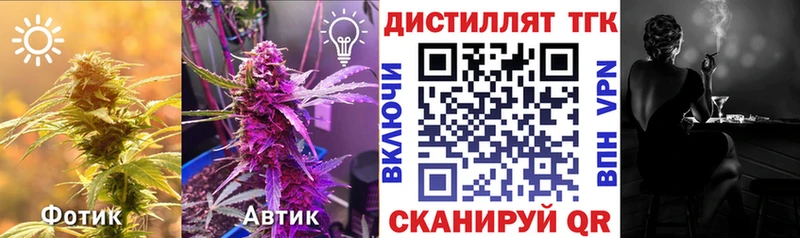 Дистиллят ТГК Wax  Ульяновск 