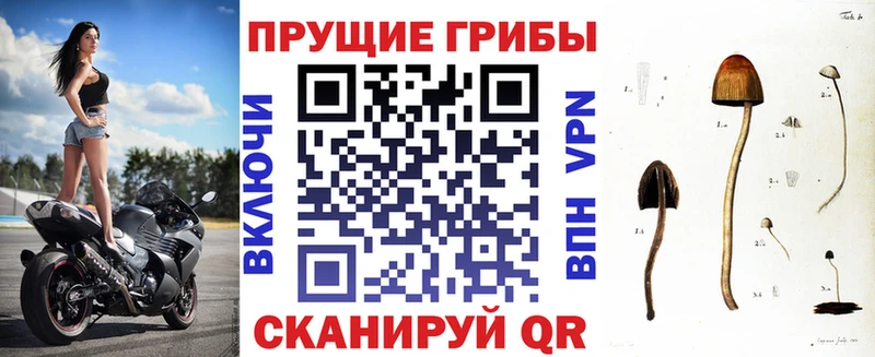 Галлюциногенные грибы Psilocybe Ульяновск