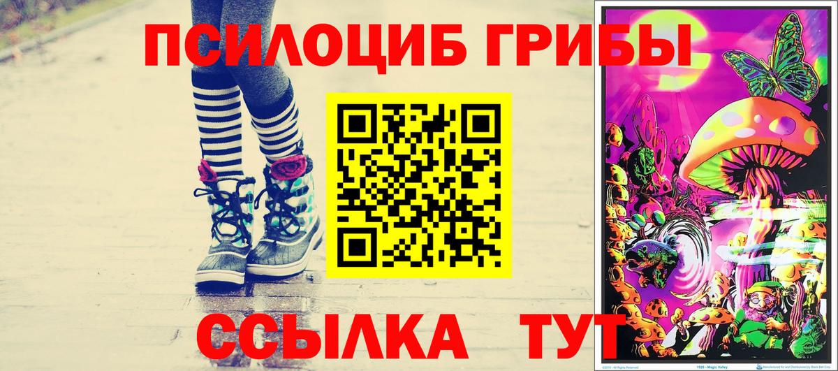 Галлюциногенные грибы мухоморы  Вход с VPN  Ульяновск  Псилоцибиновые грибы прущие грибы 